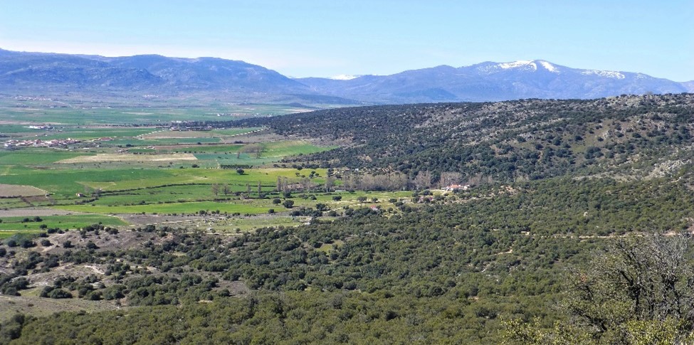 1. muño